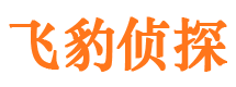 岳西找人公司